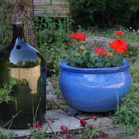 Ferienwohnung Toscana Дрезден Екстериор снимка