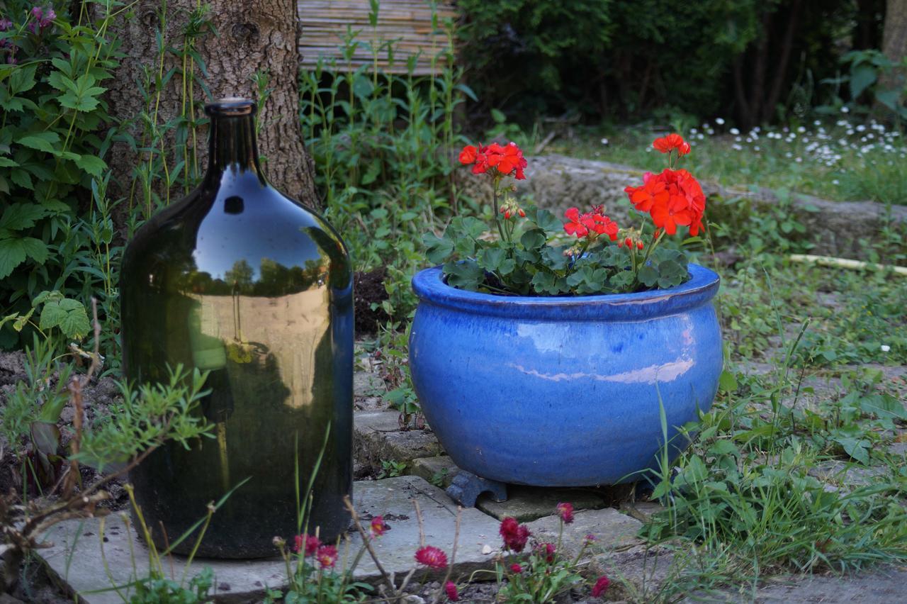 Ferienwohnung Toscana Дрезден Екстериор снимка